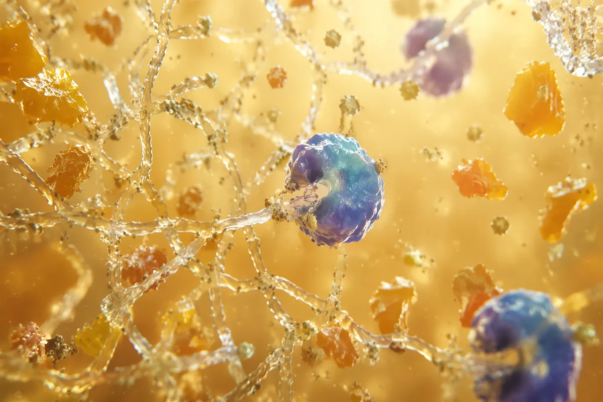 Illustration of enzymes cutting the pectin network that holds juice in fruit pulp