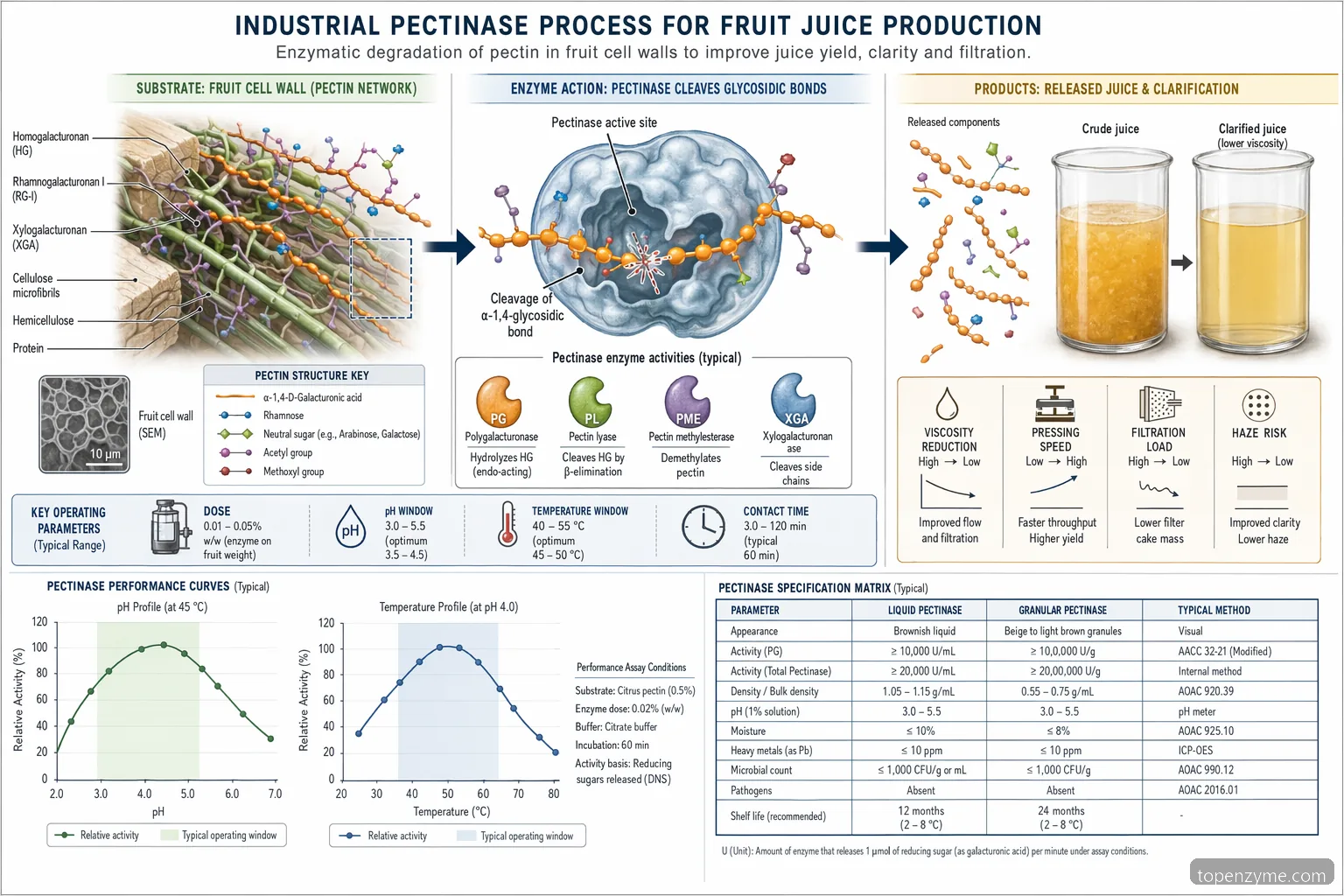 enzyme pectinase fruit juice production process diagram showing pectin breakdown across pH, temperature, and dose