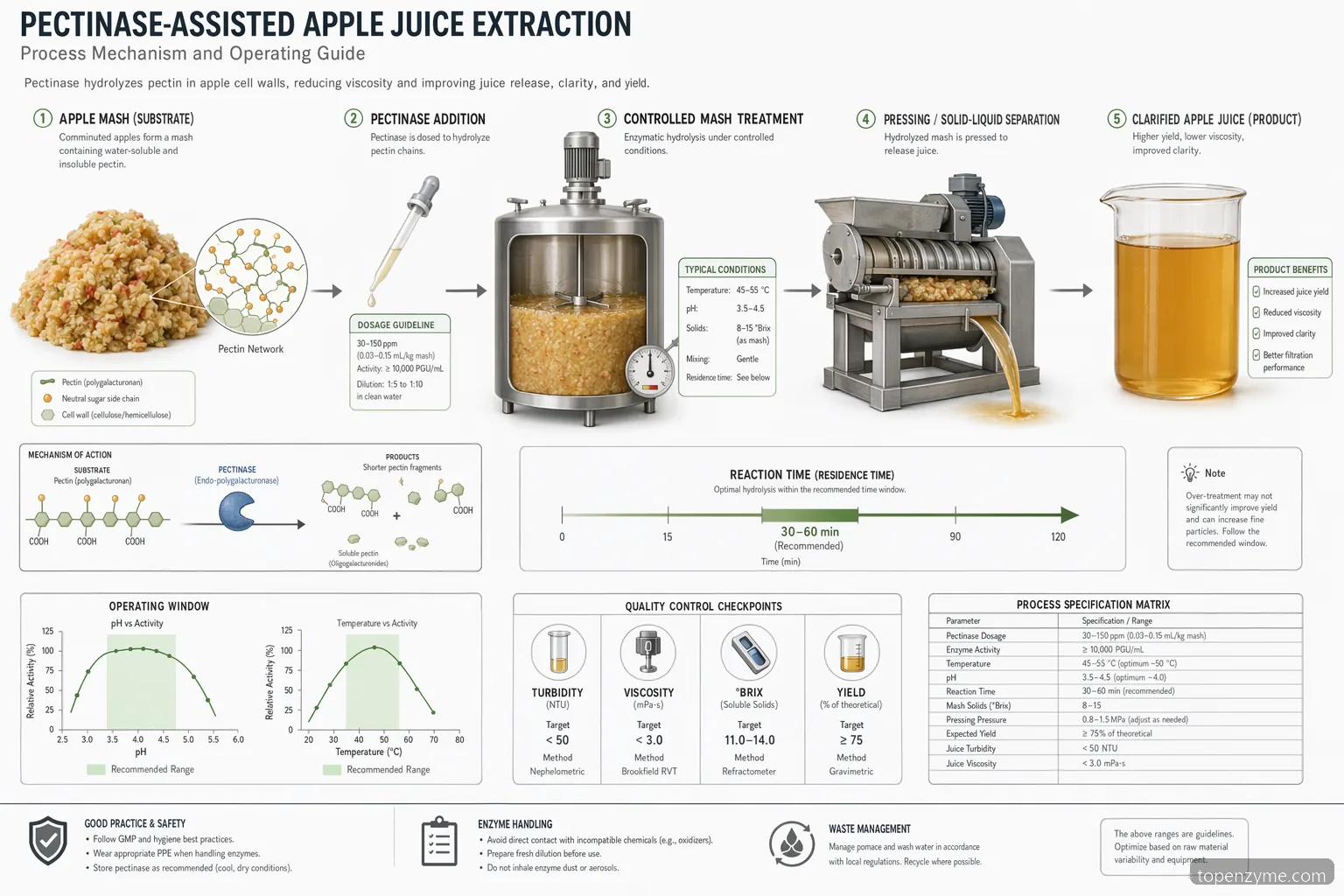 Pectinase and apple juice process guide mapping dose, pH, temperature, reaction time, and QC checkpoints