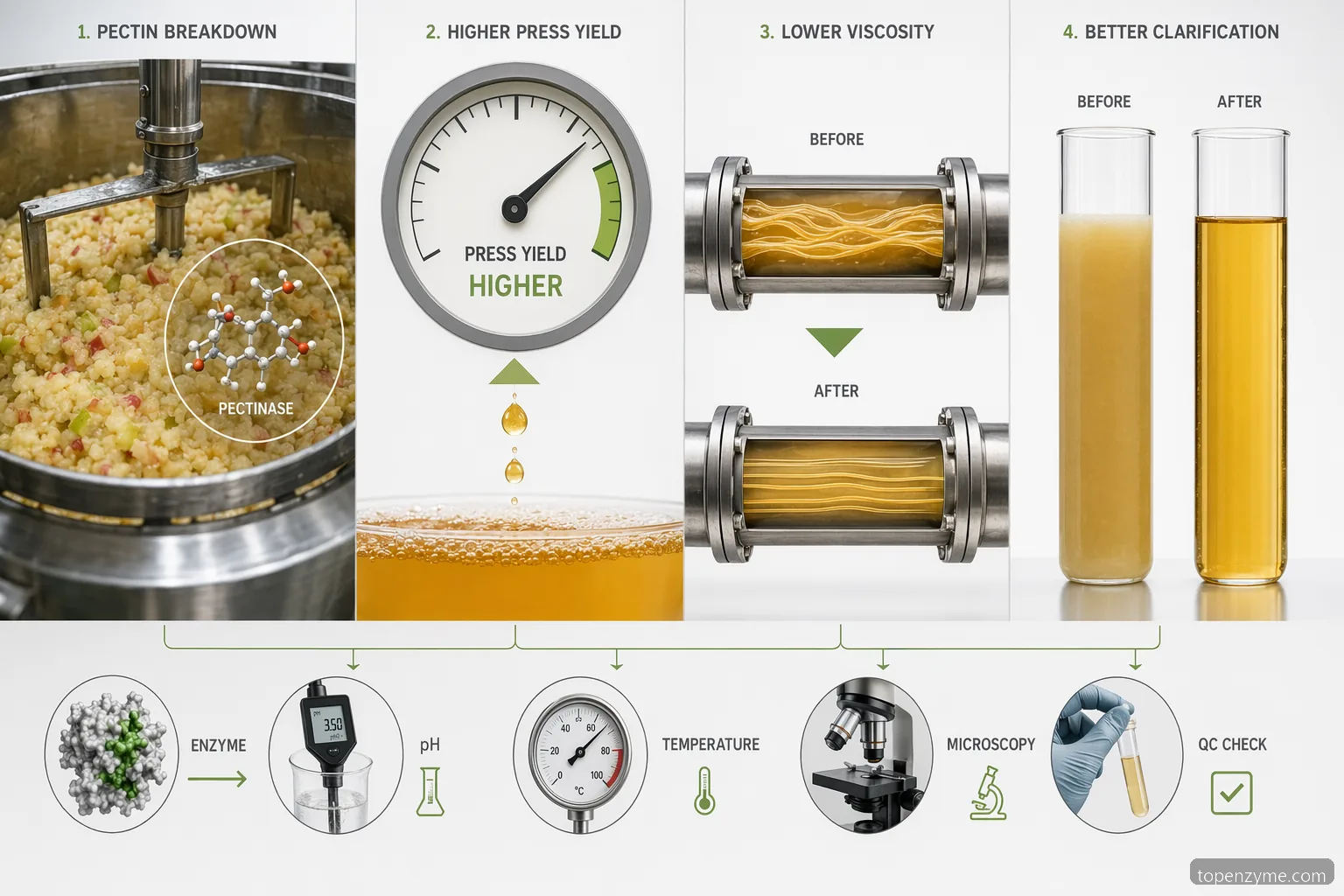 Pectinase and apple juice process guide showing mash breakdown, higher press yield, viscosity reduction, and clarification