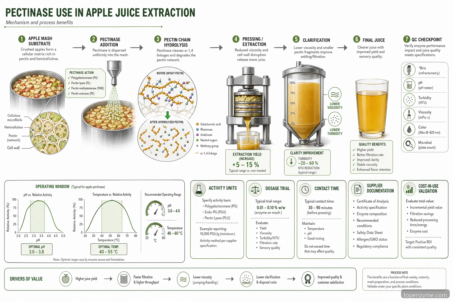 pectinase apple juice process diagram tracing apple mash, pectin breakdown, clarification, and QC checks