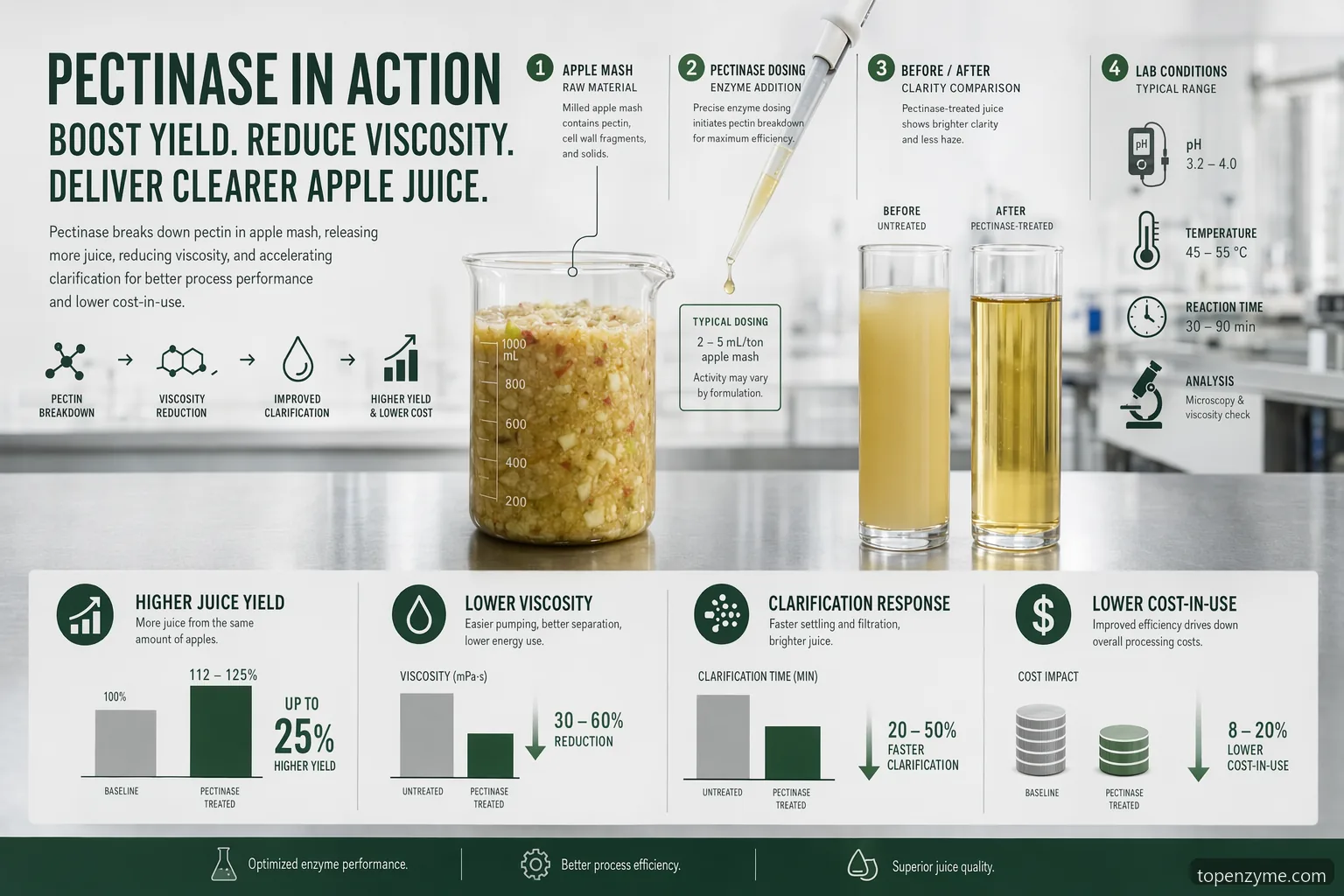 pectinase apple juice experiment formulation infographic showing yield, viscosity, clarity, conditions, and scale-up