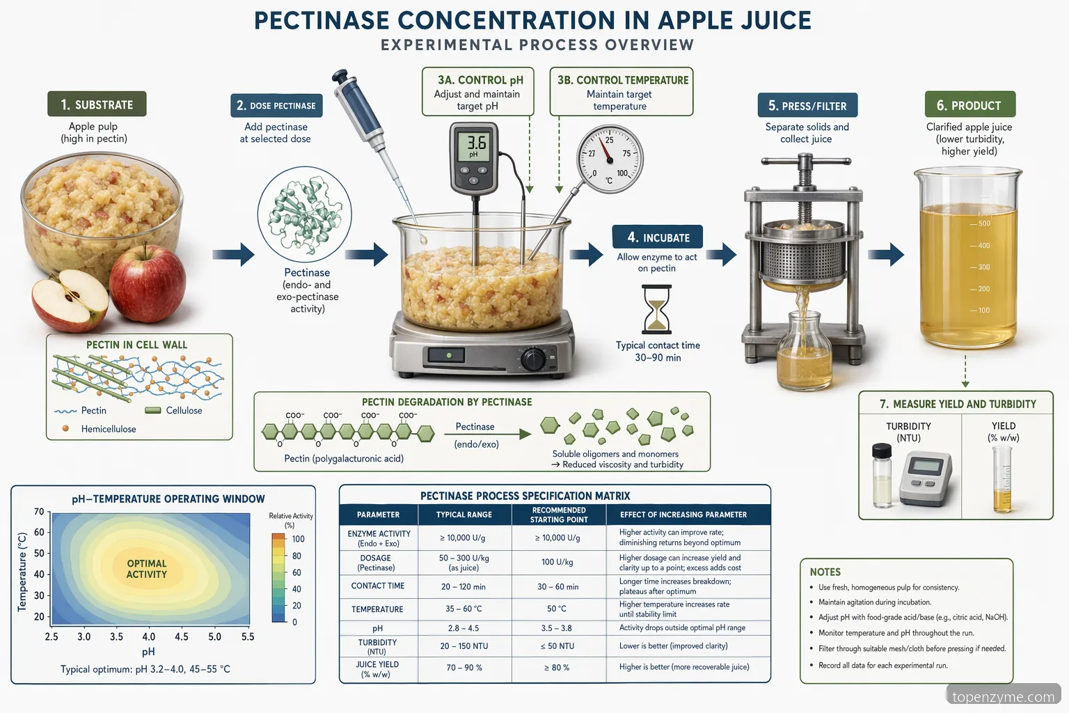 pectinase concentration apple juice experiment process diagram mapping enzyme dose, pH, temperature, yield, and clarity