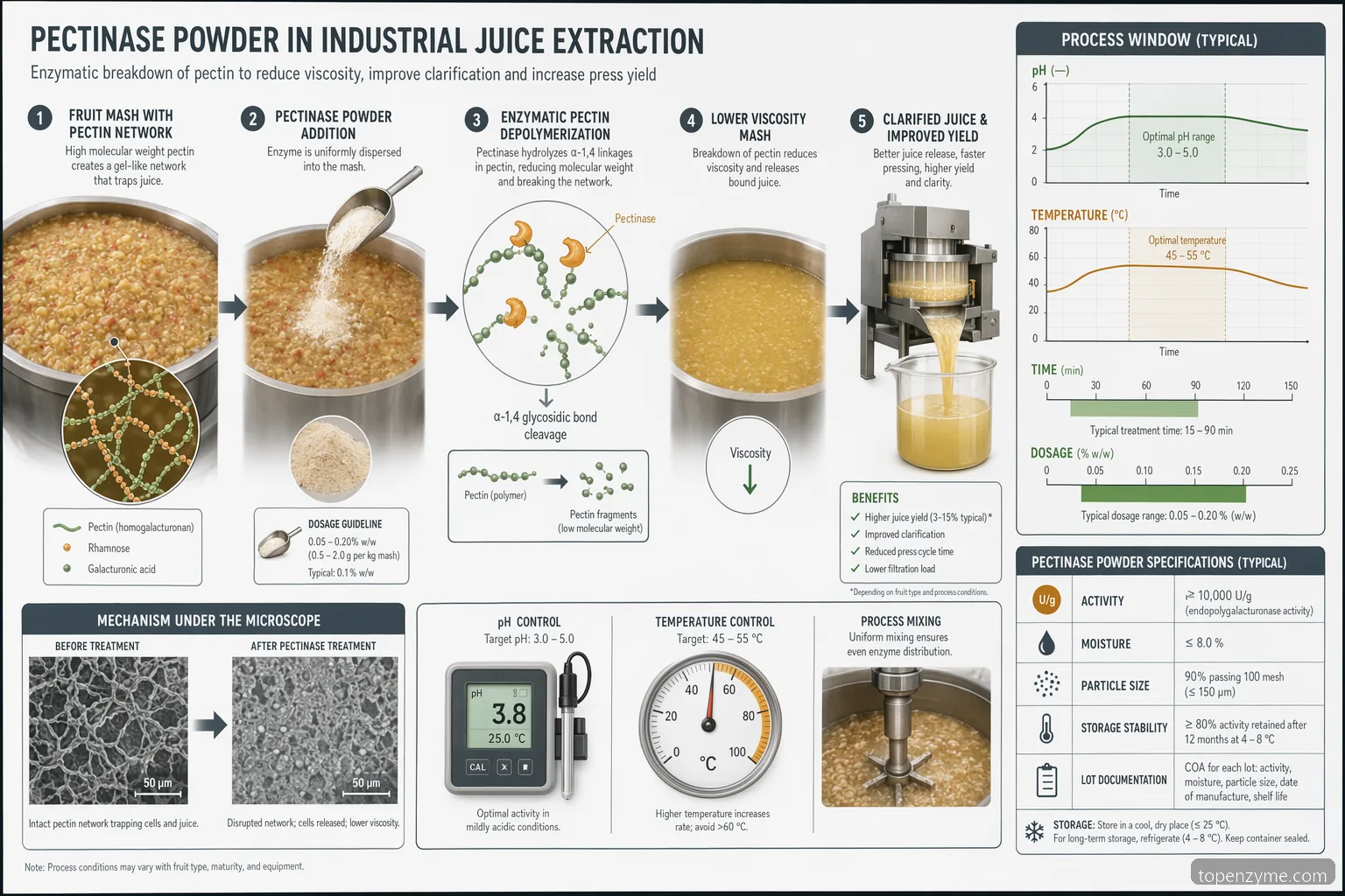 Pectinase powder specification checklist for juice extraction, with pH-temperature window and pectin breakdown flow